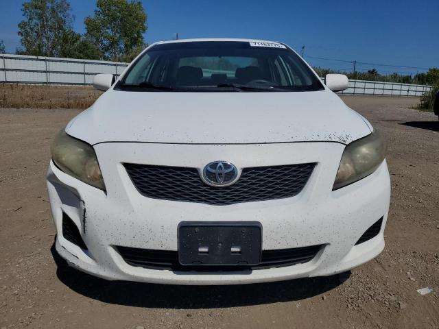 1NXBU4EE2AZ204507 - 2010 TOYOTA COROLLA BASE თეთრი ფოტო 5