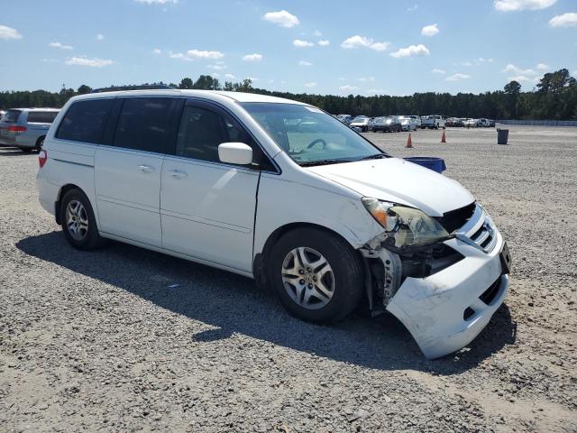 5FNRL38455B418859 - 2005 HONDA ODYSSEY EX WHITE photo 4