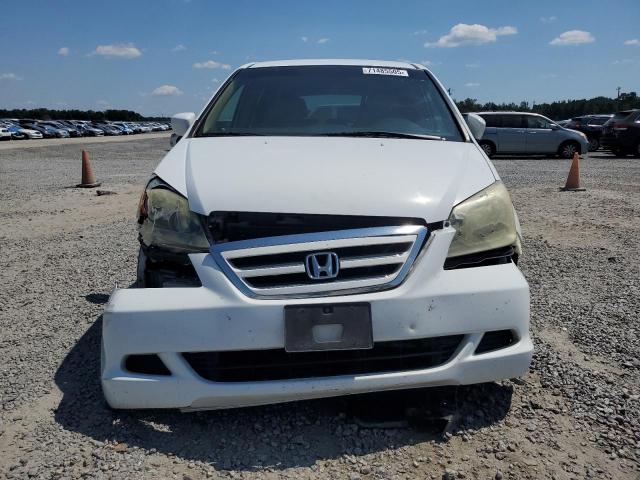 5FNRL38455B418859 - 2005 HONDA ODYSSEY EX WHITE photo 5