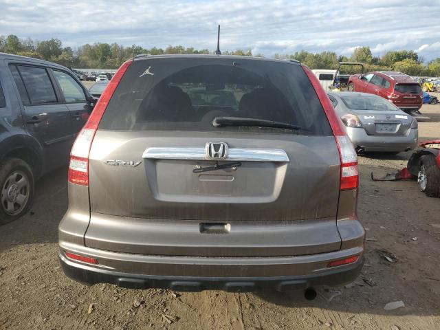 5J6RE3H58AL007539 - 2010 HONDA CR-V EX GRAY photo 6