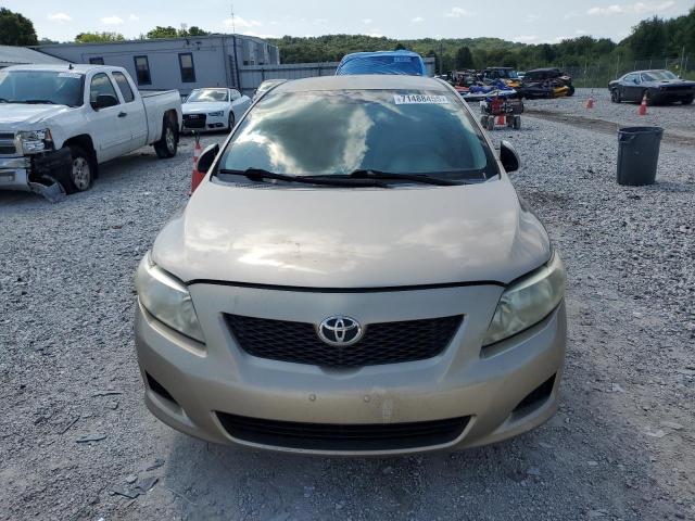 1NXBU4EE5AZ294669 - 2010 TOYOTA COROLLA BASE Braun Foto 5