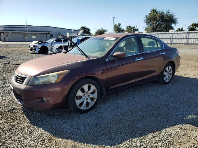 2010 HONDA ACCORD EXL, 
