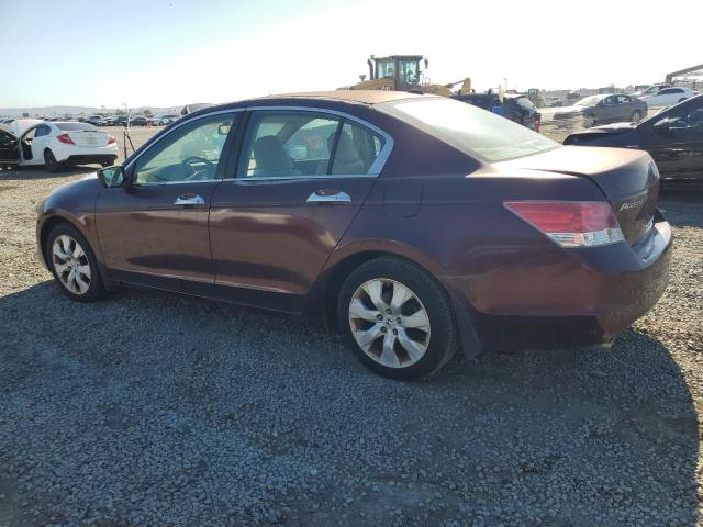 5KBCP3F86AB014058 - 2010 HONDA ACCORD EXL BURGUNDY photo 2