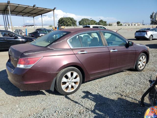 5KBCP3F86AB014058 - 2010 HONDA ACCORD EXL BURGUNDY photo 3
