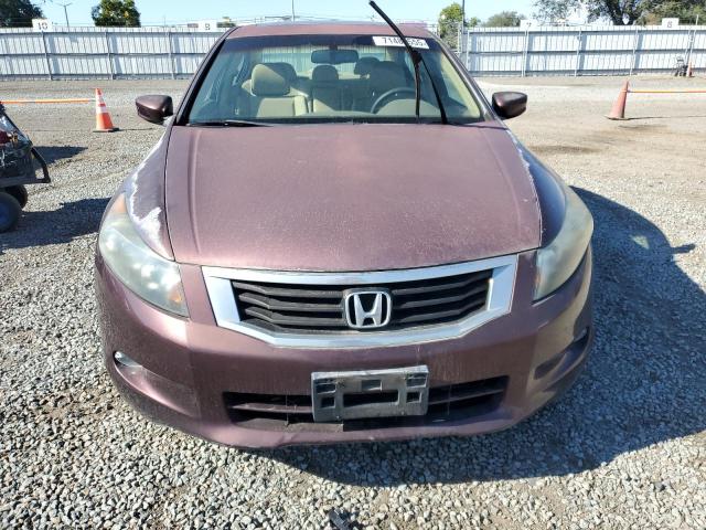 5KBCP3F86AB014058 - 2010 HONDA ACCORD EXL BURGUNDY photo 5