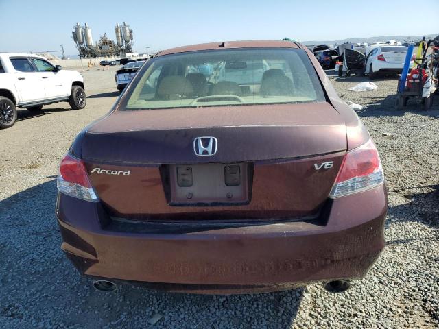 5KBCP3F86AB014058 - 2010 HONDA ACCORD EXL BURGUNDY photo 6