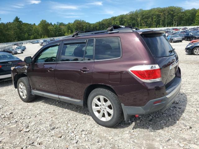 5TDBK3EH3DS186347 - 2013 TOYOTA HIGHLANDER BASE Бордовый фото 2