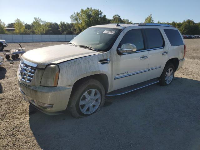 2007 CADILLAC ESCALADE LUXURY, 