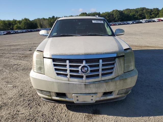1GYFK63887R222388 - 2007 CADILLAC ESCALADE LUXURY 白色 照片 5