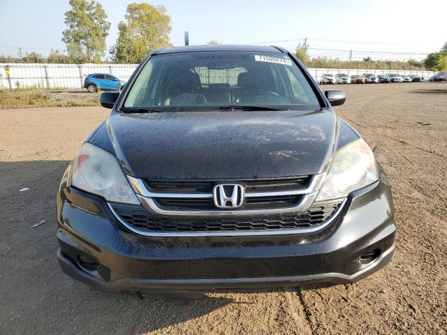 5J6RE4H70AL056225 - 2010 HONDA CR-V EXL BLACK photo 5