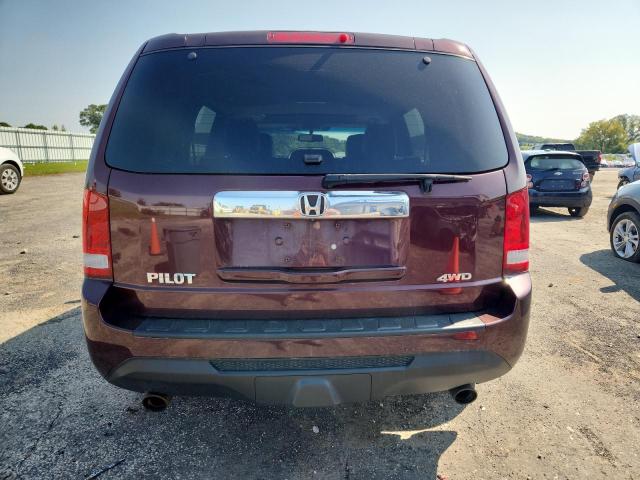 5FNYF4H55DB081447 - 2013 HONDA PILOT EXL Kastanienbraun Foto 6
