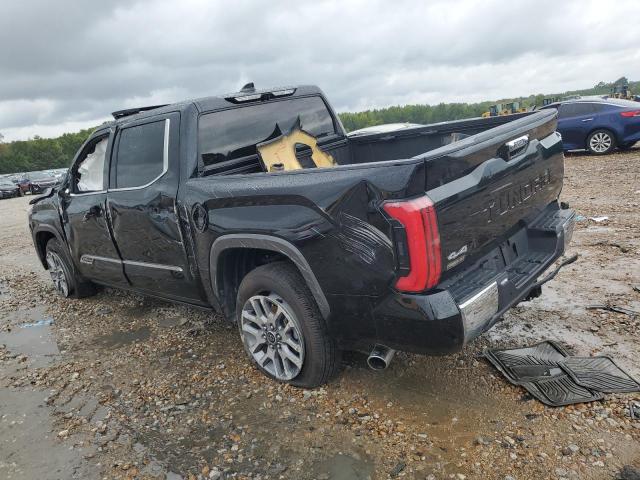 5TFMA5DB5PX126167 - 2023 TOYOTA TUNDRA CREWMAX PLATINUM შავი ფოტო 2