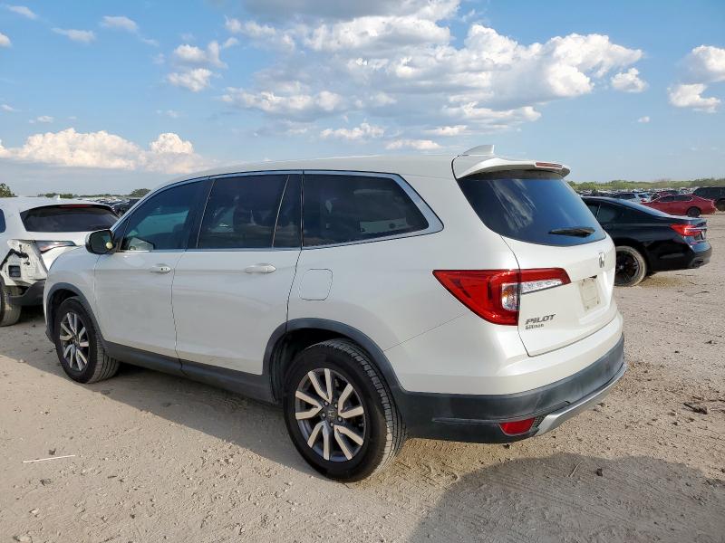 5FNYF5H55KB019338 - 2019 HONDA PILOT EXL أبيض صورة 2