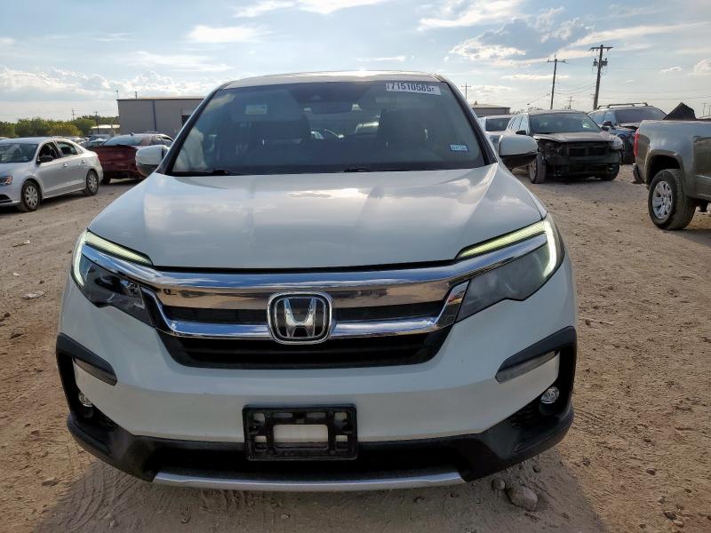 5FNYF5H55KB019338 - 2019 HONDA PILOT EXL أبيض صورة 5