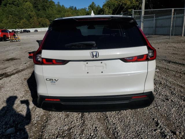 7FARS4H44RE021324 - 2024 HONDA CR-V EX 白色 照片 6