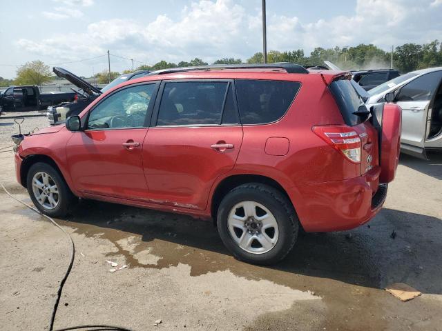 2T3BF4DV2CW265653 - 2012 TOYOTA RAV4 Bordeaux Foto 2