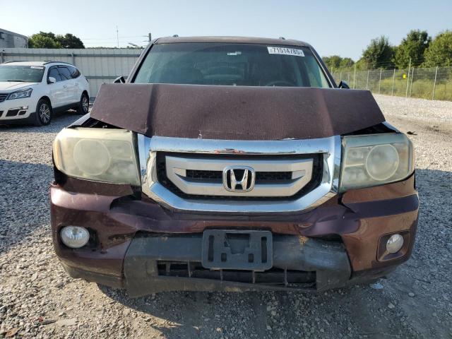 5FNYF4H64BB031029 - 2011 HONDA PILOT EXL BURGUNDY photo 5
