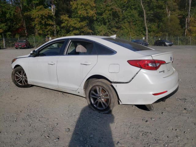 5NPE24AF7HH491417 - 2017 HYUNDAI SONATA SE WHITE photo 2