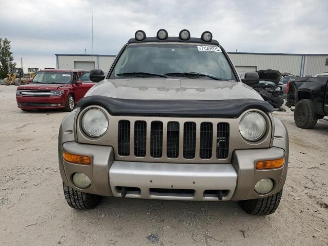 1J4GL38K54W101951 - 2004 JEEP LIBERTY RENEGADE Bej foto 5