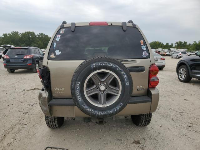 1J4GL38K54W101951 - 2004 JEEP LIBERTY RENEGADE Bej foto 6