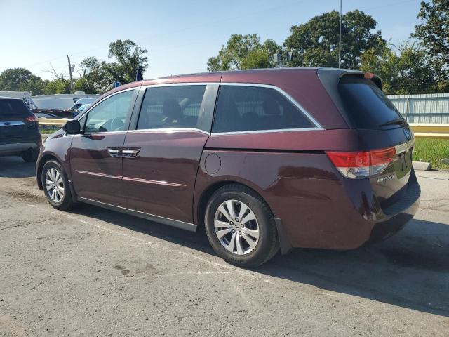 5FNRL5H6XEB013268 - 2014 HONDA ODYSSEY EXL 勃艮第红 照片 2