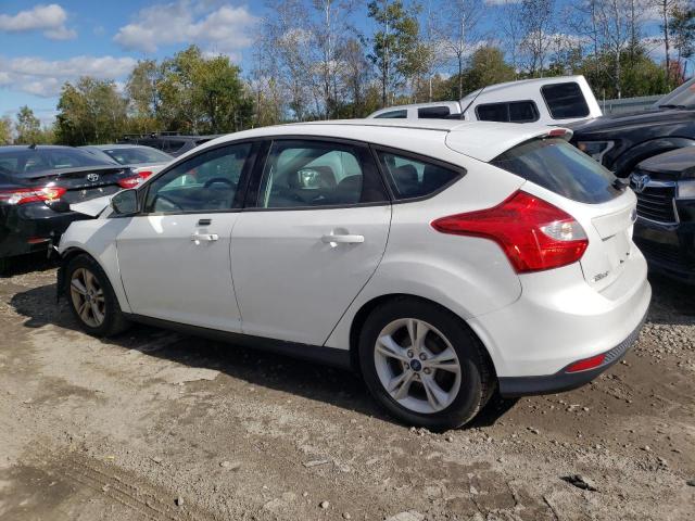 1FADP3K23EL414477 - 2014 FORD FOCUS SE WHITE photo 2