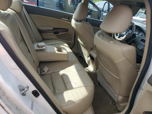 1HGCP3F8XAA013553 - 2010 HONDA ACCORD EXL WHITE photo 10