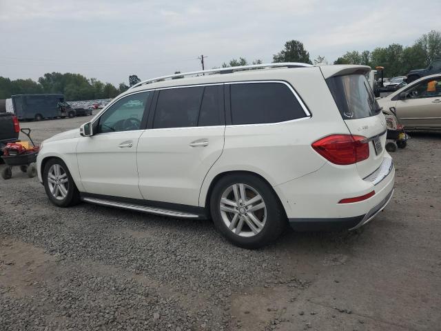 4JGDF7CE5DA251379 - 2013 MERCEDES-BENZ GL 450 4MATIC WHITE photo 2
