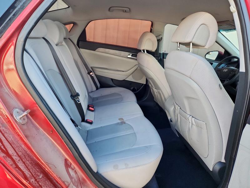 5NPE24AF3GH274039 - 2016 HYUNDAI SONATA SE 勃艮第红 照片 10