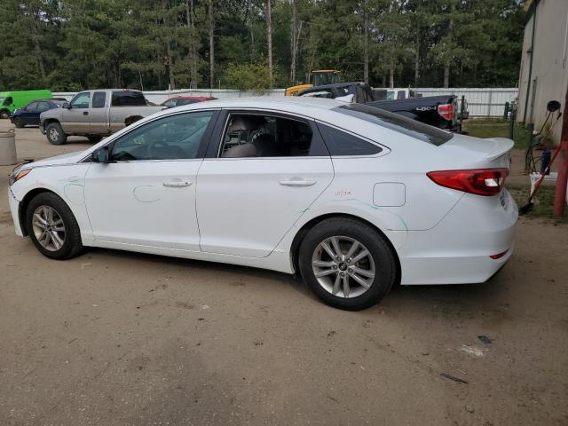 5NPE24AF9HH560883 - 2017 HYUNDAI SONATA SE WHITE photo 2