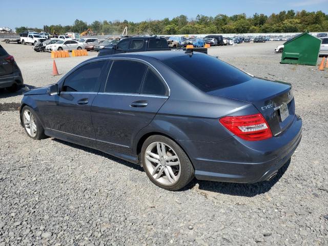 WDDGF8AB4DR274787 - 2013 MERCEDES-BENZ C 300 4MATIC GRAY photo 2