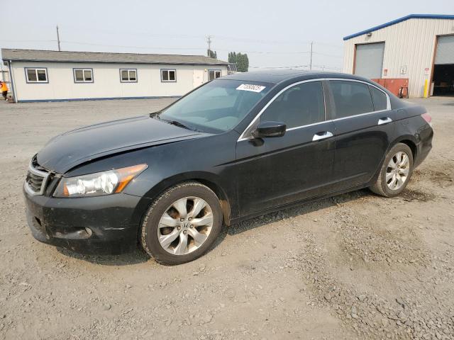 2010 HONDA ACCORD EXL, 