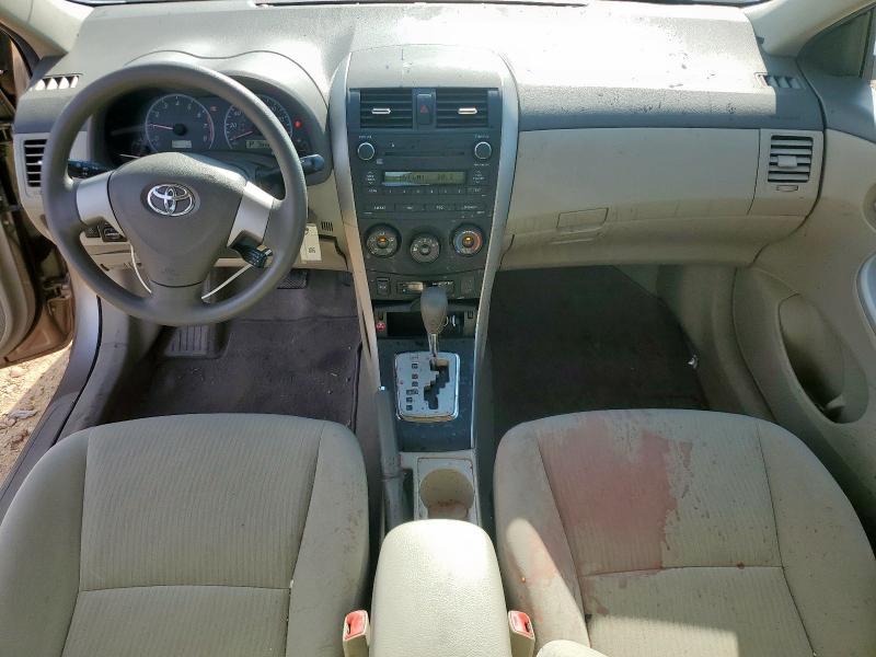 2T1BU4EE5AC439419 - 2010 TOYOTA COROLLA BASE TAN photo 8