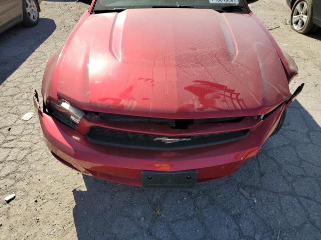 1ZVBP8EN2A5107172 - 2010 FORD MUSTANG RED photo 11