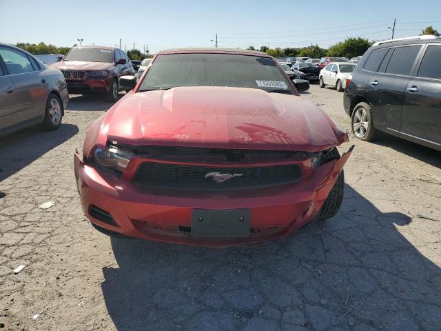 1ZVBP8EN2A5107172 - 2010 FORD MUSTANG RED photo 5