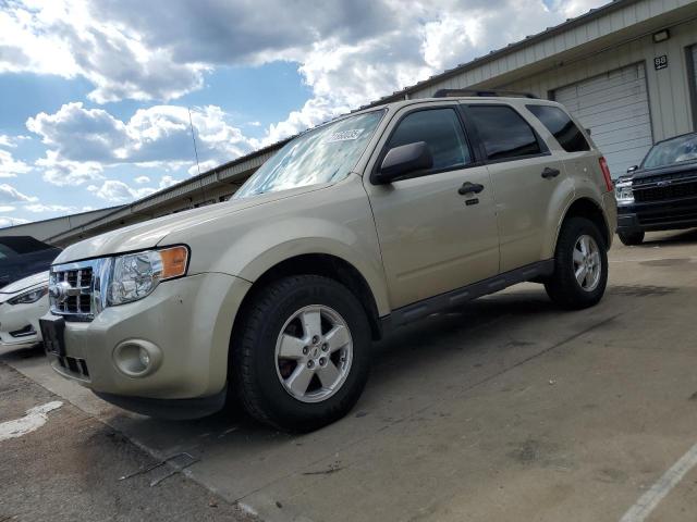 2010 FORD ESCAPE XLT, 