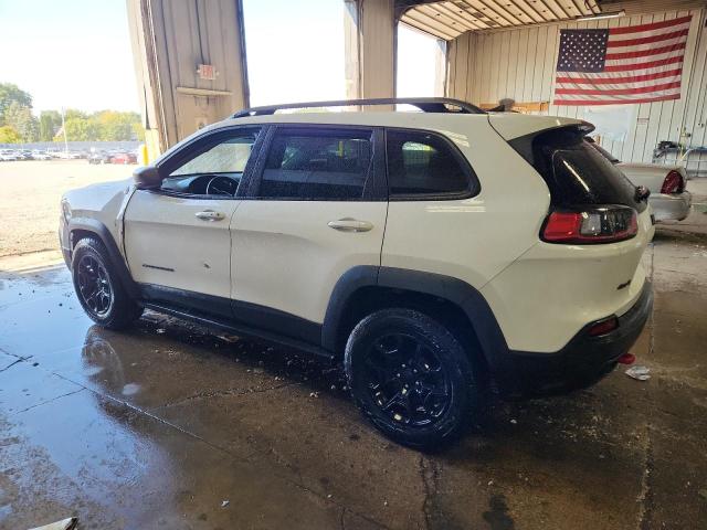 1C4PJMBX7KD104042 - 2019 JEEP CHEROKEE TRAILHAWK WHITE photo 2