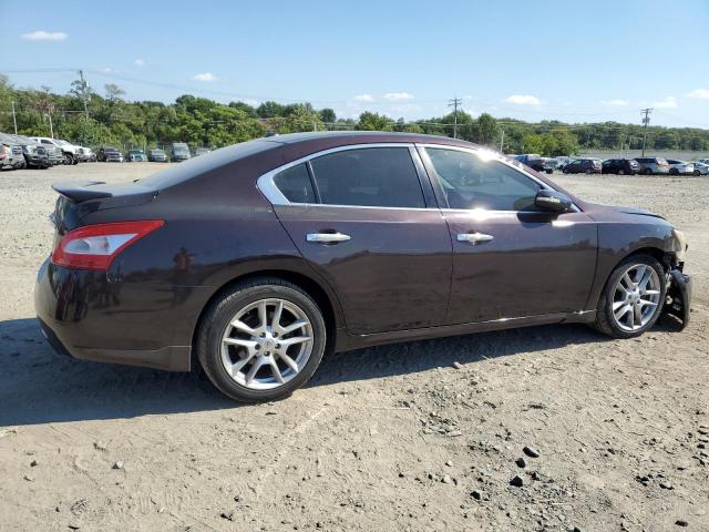 1N4AA5AP5AC836869 - 2010 NISSAN MAXIMA S Bənövşəyi foto 3