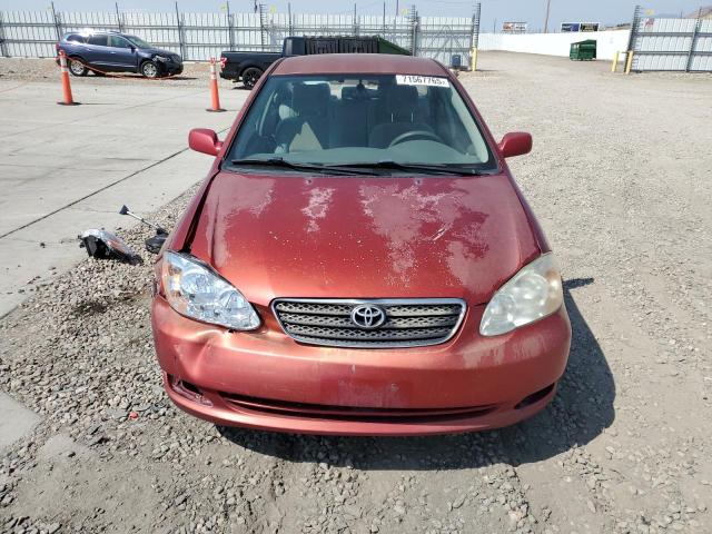 1NXBR32E88Z011174 - 2008 TOYOTA COROLLA CE BROWN photo 5