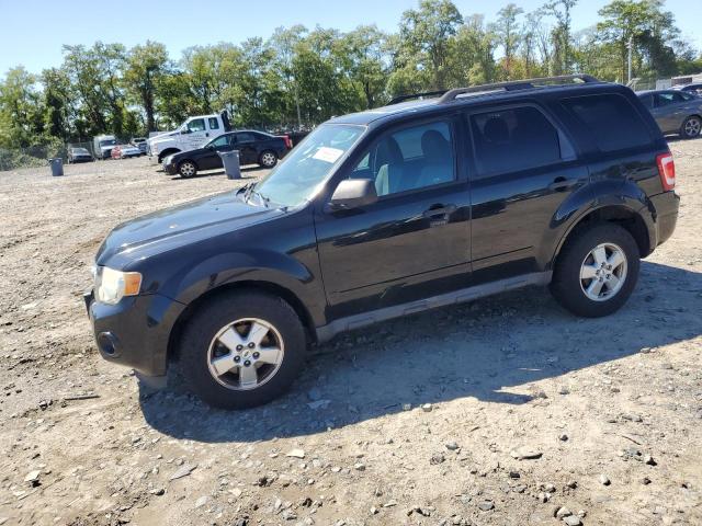 2012 FORD ESCAPE XLT, 