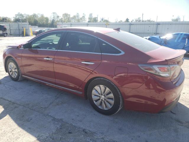 KMHE24L1XGA015911 - 2016 HYUNDAI SONATA HYBRID RED photo 2