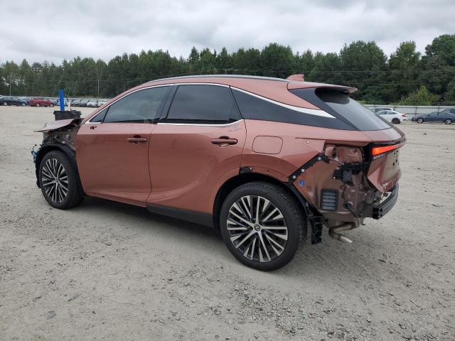 2T2BAMCAXRC084974 - 2024 LEXUS RX 350 BASE 橙色 照片 2