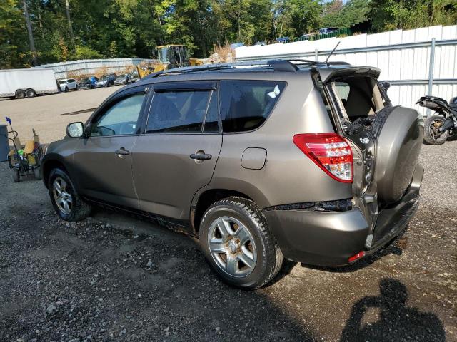2T3BF4DV2AW031199 - 2010 TOYOTA RAV4 棕色 照片 2