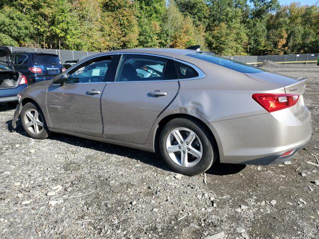 1G1ZB5ST3RF220337 - 2024 CHEVROLET MALIBU LS ბეჟი ფოტო 2