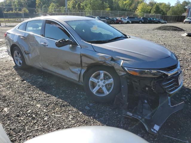 1G1ZB5ST3RF220337 - 2024 CHEVROLET MALIBU LS ბეჟი ფოტო 4