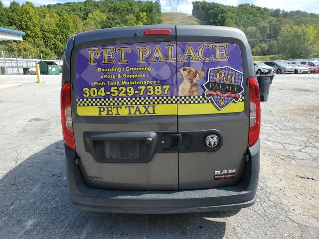 ZFBERFAT8G6C80657 - 2016 RAM PROMASTER GRAY photo 6