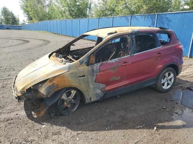 2014 FORD ESCAPE SE, 