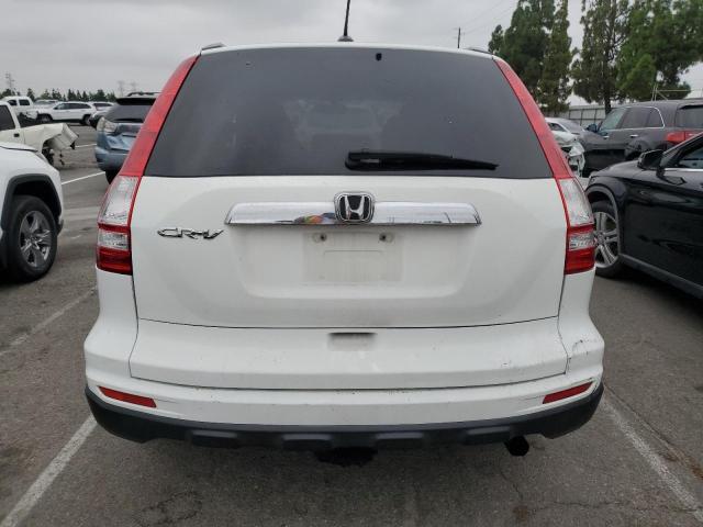 JHLRE3H77AC006988 - 2010 HONDA CR-V EXL WHITE photo 6