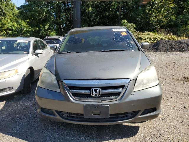 5FNRL386X7B448346 - 2007 HONDA ODYSSEY EXL ნაცრისფერი ფოტო 5