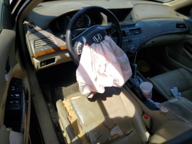 1HGCP26808A117067 - 2008 HONDA ACCORD EXL BURGUNDY photo 8